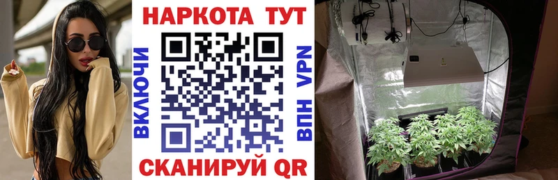 Наркошоп купить Гашиш  А ПВП  МЕТАДОН  Каннабис  МЕФ  Касимов