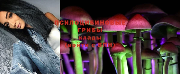 spice Козельск