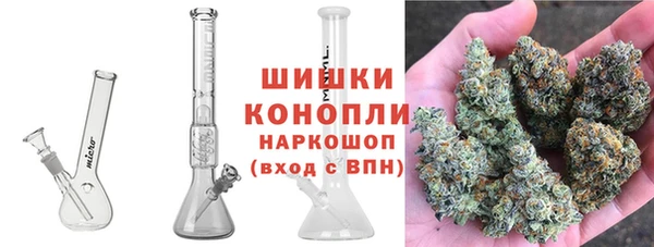 соль ск Кодинск