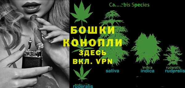 соль ск Кодинск