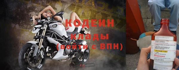 соль ск Кодинск