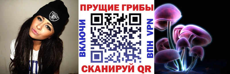 Купить закладки  Касимов  Псилоцибиновые грибы мицелий 